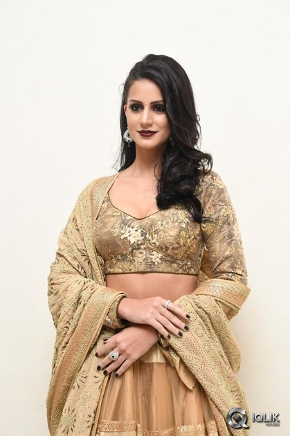 Larissa-Bonesi-at-Thikka-Movie-Audio-Launch